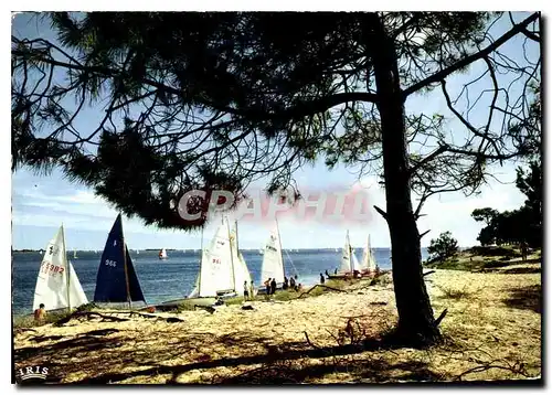 Cartes postales moderne Ile De Re Re La Plage de Trousse Chemise Ecole de Voile