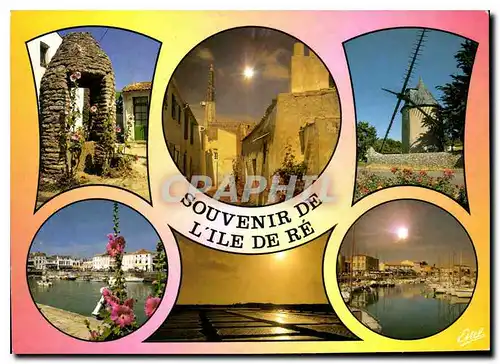 Cartes postales moderne Souvenir de L'Ile De Re