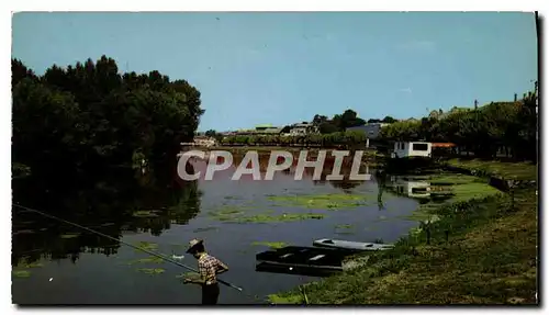 Cartes postales moderne Angouleme Charente au bord de la Charente