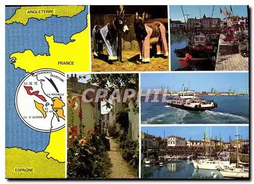Cartes postales moderne Ile De Re Charente Maritime Angleterre Espagne