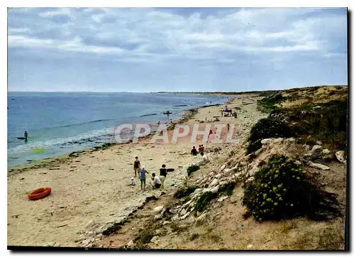 Cartes postales moderne Ile De Re Charente Maritime La Nour La Plage des Grenades