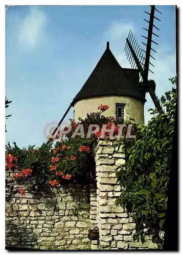 Cartes postales moderne Ile De Re Moulin du Morinand