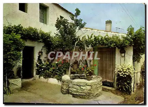 Cartes postales moderne Ile De Re Vieux Puits Fleuri