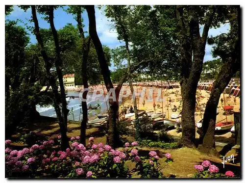 Cartes postales moderne La Cote de Beaute Saint Palais sur Mer Charente Maritime La Plage