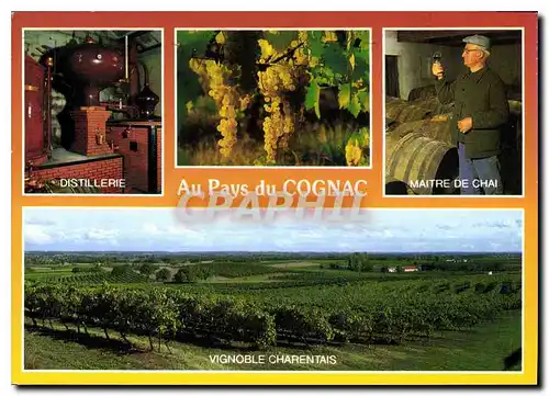 Cartes postales moderne Au Pays de Cognac