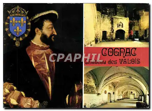 Cartes postales moderne Charente Cognac Le Chateau des Valois ou naquit en 1494