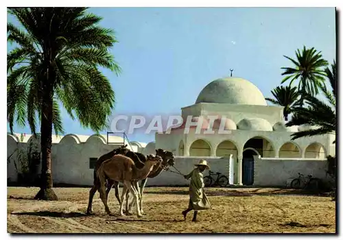 Cartes postales moderne Jerba La Mosquee de Mahboubine