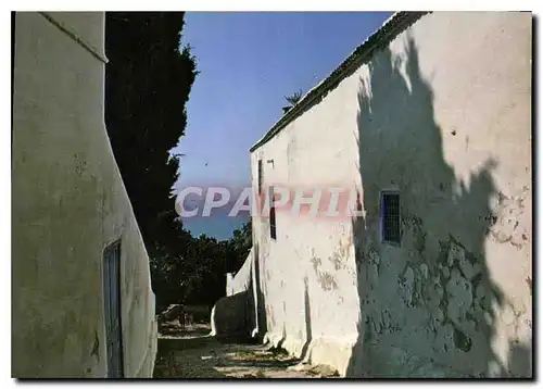 Cartes postales moderne Une ruelle vers la mer Sidi Bou Said Tunisie