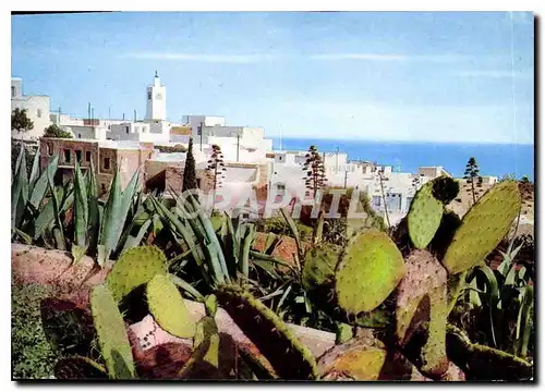 Cartes postales moderne Sidi Bou Said Vue Generale