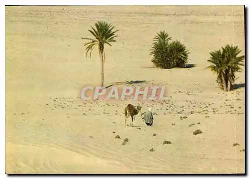 Cartes postales moderne Sud Tunisien Vers le Sahara