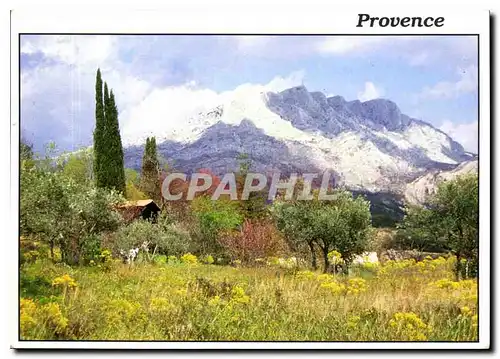 Cartes postales moderne Reflets de Provence