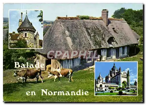 Cartes postales moderne Balade en Normandie