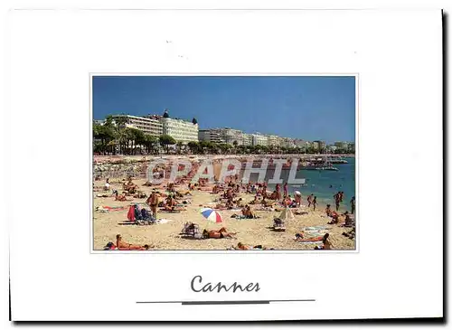 Cartes postales moderne Cannes