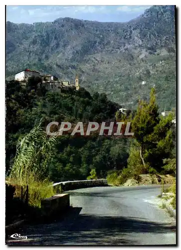 Cartes postales moderne Gorbio Vue sur le bourg Au fond Pas des Cabanelles