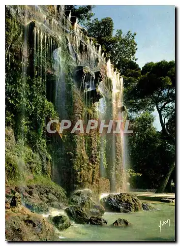 Cartes postales moderne La Cote d'Azur miracle de la nature Nice La Cascade de Cimiez