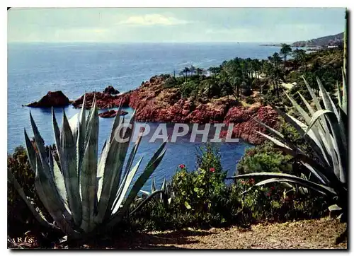 Cartes postales moderne Reflets de la Cote d'Azur La Corniche d'Or Rivages Mediterraneens