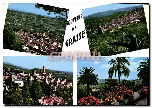 Cartes postales moderne Souvenir de Grasse