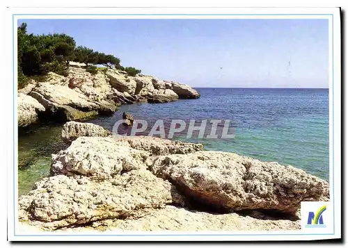 Cartes postales moderne Martigues Ville nature