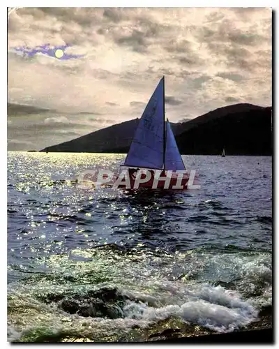 Cartes postales moderne La Mediterranee Contre Jour