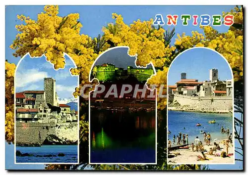 Cartes postales moderne Cote d'Azur Antibes Alpes Maritimes