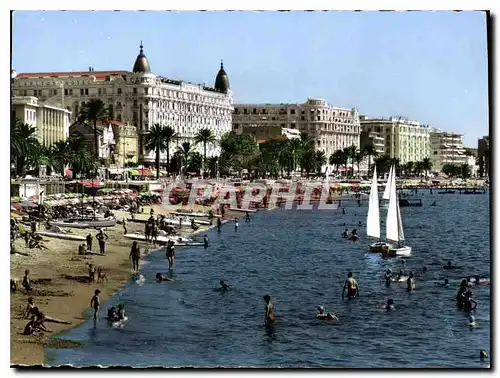 Cartes postales moderne Cannes La Plage la Croisette et les grands hotels