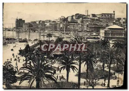 Cartes postales moderne La Cote d'Azur Cannes Les Jardins et le Suquet