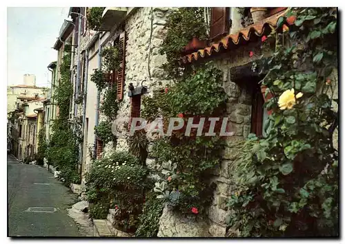 Cartes postales moderne Antibes Cote d'Azur Rue du Castellet