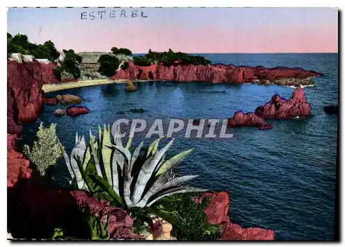 Cartes postales moderne Cote d'Azur Calanque et roches rouges de l'Esterel