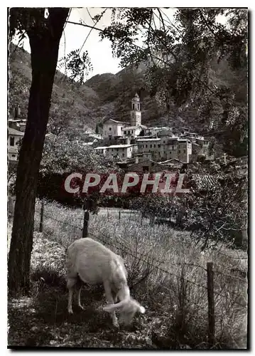 Moderne Karte Luceram Village medieval Vue generale Chevre