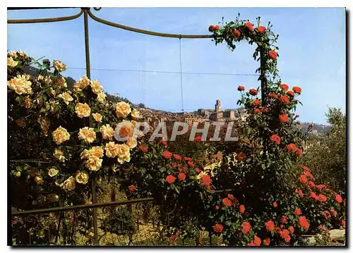 Cartes postales moderne Grasse Vue Generale