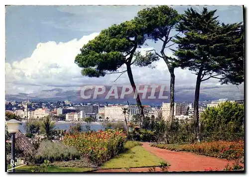 Cartes postales moderne La Cote d'Azur Cannes Les grands palaces de la Croisette vus du Marly