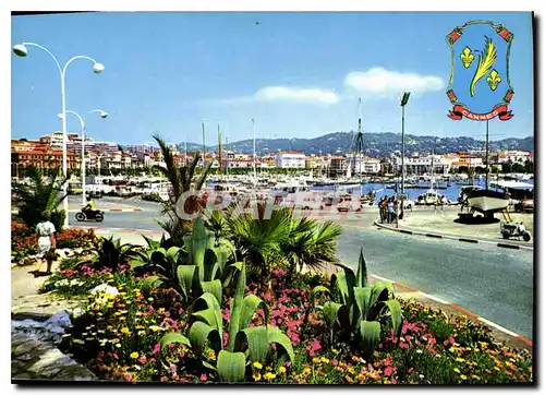 Cartes postales moderne Cannes Cote d'Azur Vue sur le Port