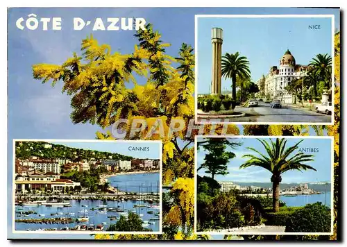 Cartes postales moderne Souvenir de la Cote d'Azur Nice Cannes Antibes