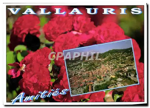 Cartes postales moderne La Cote d'Azur Vallauris