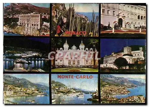 Cartes postales moderne Au Soleil de la Cote d'Azur Principaute de Monaco Monte Carlo