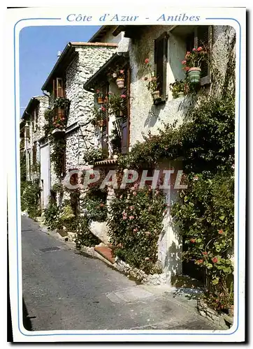 Cartes postales moderne Cote d'Azur Antibes Une vieille rue pittoresque