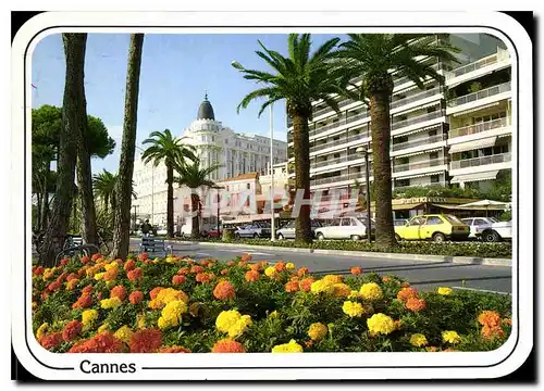 Cartes postales moderne Reflets de la Cote d'Azur Cannes La Croisette