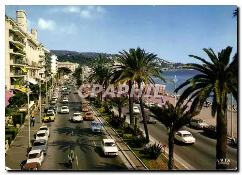 Cartes postales moderne La Cote d'Azur Nice La Promenade des Anglais