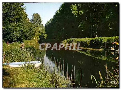 Cartes postales moderne Tonnay Boutonne Char Mar Rive de la Boutonne