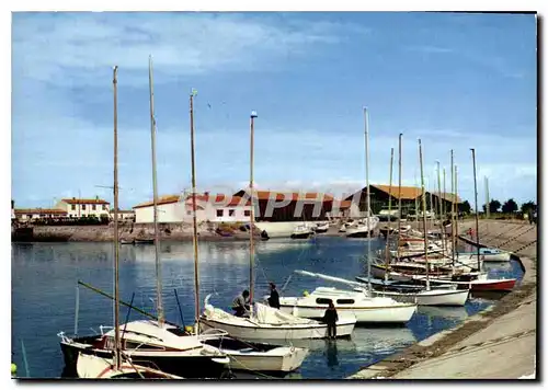 Cartes postales moderne Ile De Re Ars en Re Un coin du port des vailiers