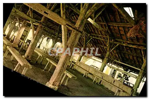 Cartes postales moderne Cozes Char Mar Les Halles