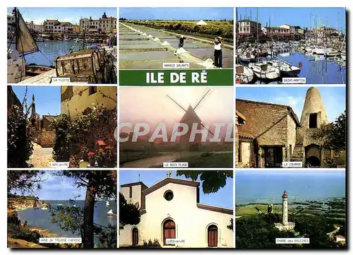 Cartes postales moderne Ile De Re Ch Mme Moulin