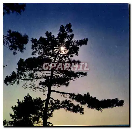 Cartes postales moderne Cote Atlantique La lune