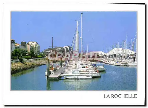Cartes postales moderne La Rochelle Charente Maritime Le port des minimes