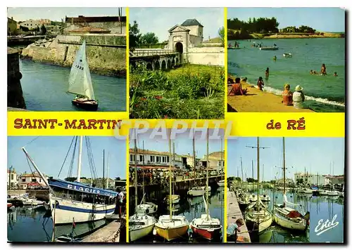 Cartes postales moderne Saint Martin de Re