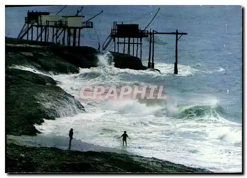 Cartes postales moderne En Charente Maritime Les Carrelets sur le Cote de Beaute