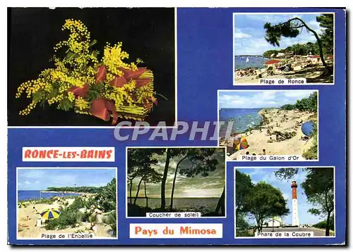 Moderne Karte Ronce les Bains Charente Maritime