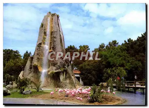 Moderne Karte Parc Zoologique de la Palmyre Royan La Cascade et les flamants roses