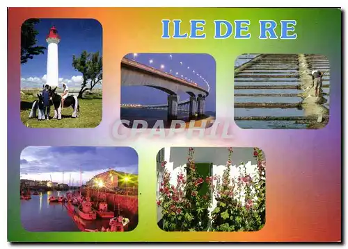 Cartes postales moderne Charente Maritime Ile de Re