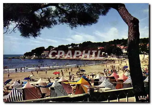 Cartes postales moderne Cote de Beaute Saint Palais Sur Mer La Plage